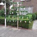 DSCF5834
